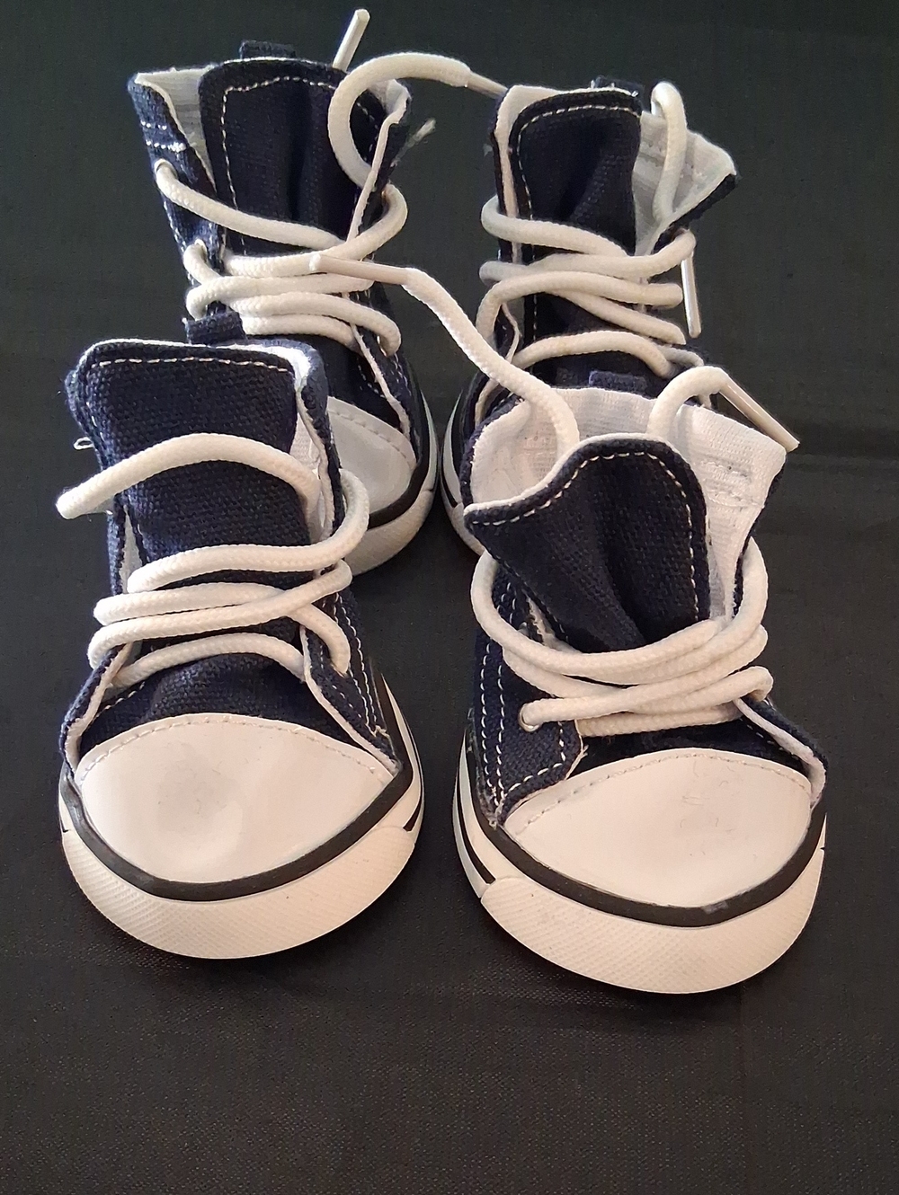 Dog's Navy Canvas High-Top Sneakers with White Laces